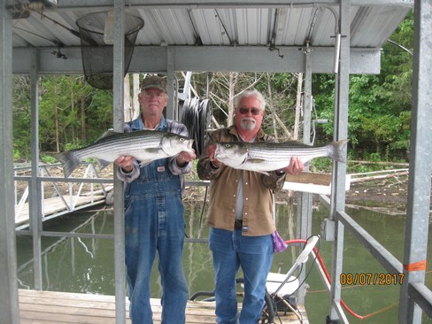 Nice Striped Bass